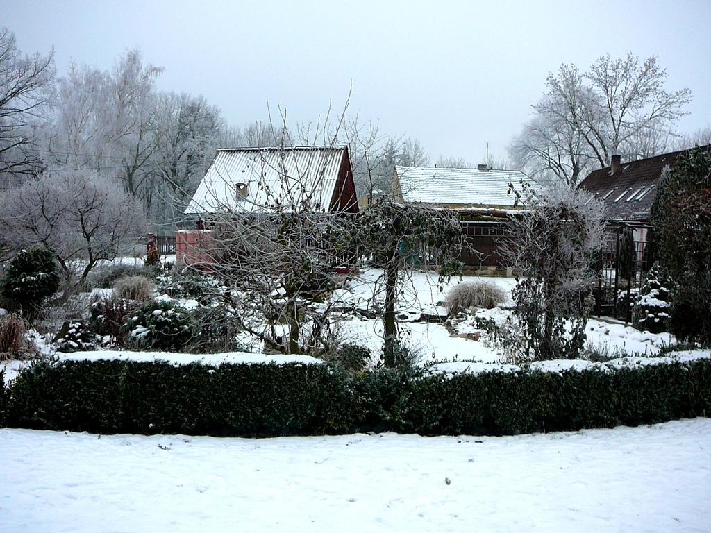 Homestay Private Svetluska *