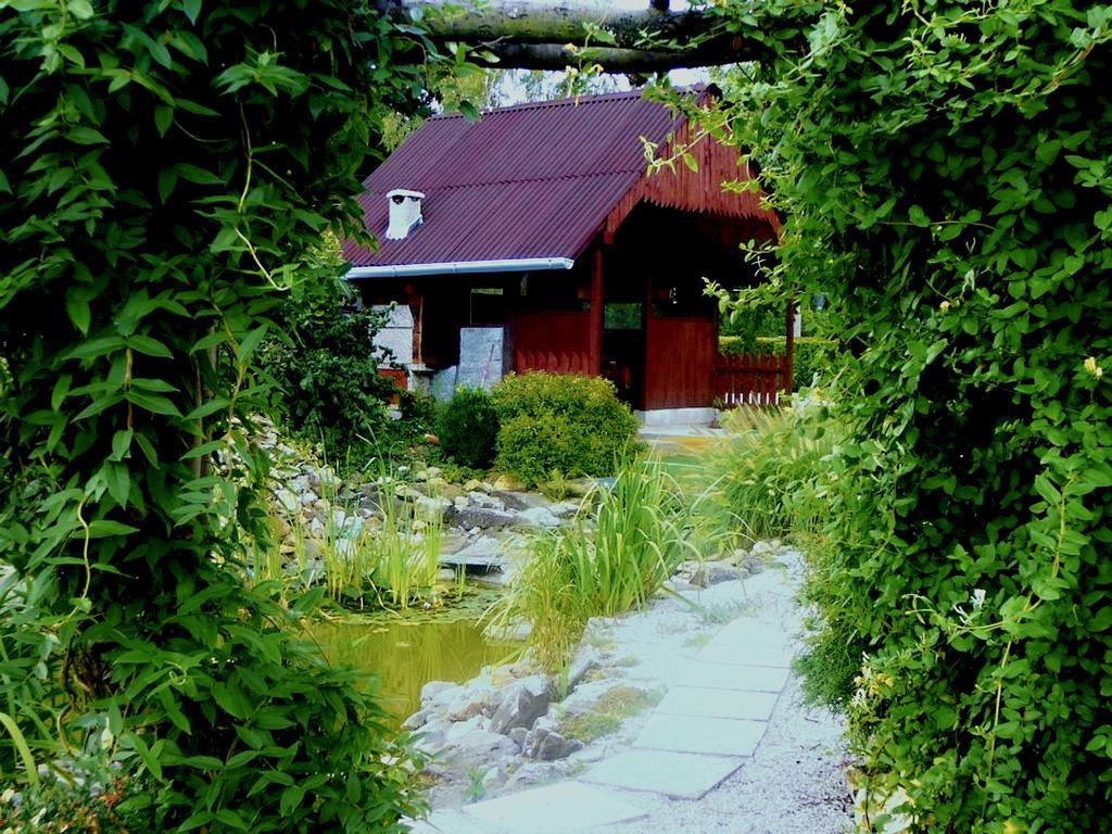 Homestay Private Svetluska