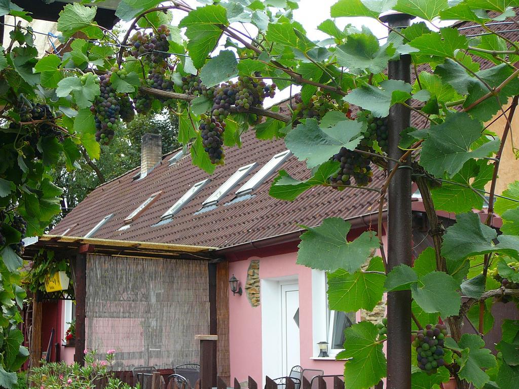 Homestay Private Svetluska